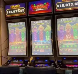 Bao Zhu Zhao Fu title above a Celebrity Apex slot cabinet
