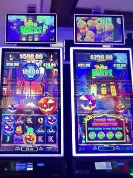 Big Bucks title above Celebrity Reflection slot cabinets