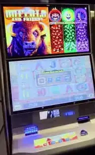 Buffalo and Friends cabinet with a buffalo pictured on the upper screen