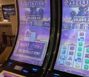 Buffalo Ascension title and buffalo artwork on Celebrity Summit cabinet