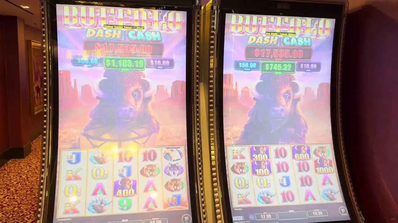 Anthem of the Seas casino video frame showing Buffalo: Dash for Cash.