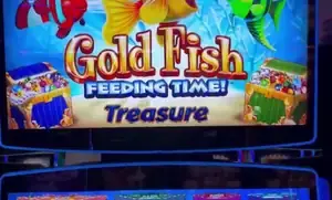 Gold Fish Feeding Time Treasure title on a Celebrity Equinox slot cabinet