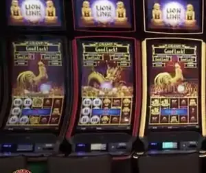 Lion Link title displayed above slot cabinets on Celebrity Ascent