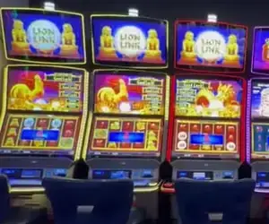Lion Link titles above a bank of Celebrity Apex slot cabinets