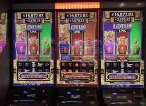 Lotus Link title visible across three slot cabinets on Celebrity Ascent
