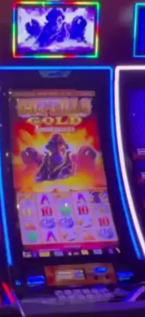 Buffalo Gold Collection cabinets in the Freedom of the Seas walkthrough.