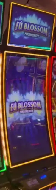 Fu Blossom Prosperity cabinets in the Freedom of the Seas walkthrough.