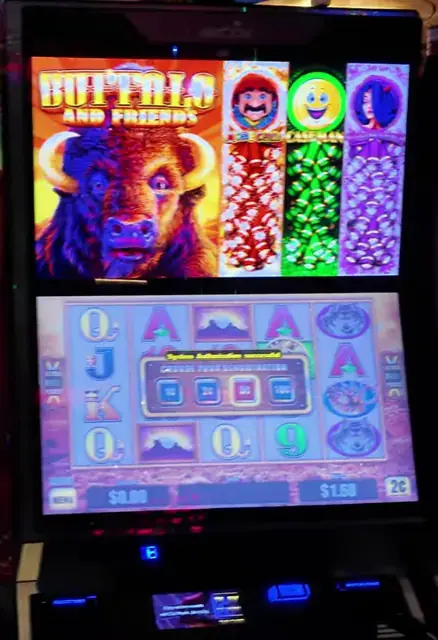 Buffalo and Friends cabinets in the Freedom of the Seas walkthrough.