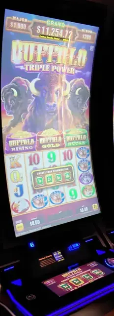 Buffalo Triple Power cabinets in the Freedom of the Seas walkthrough.
