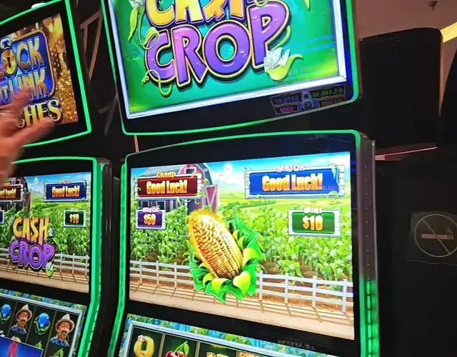 Cash Crop cabinets in the Icon of the Seas walkthrough.