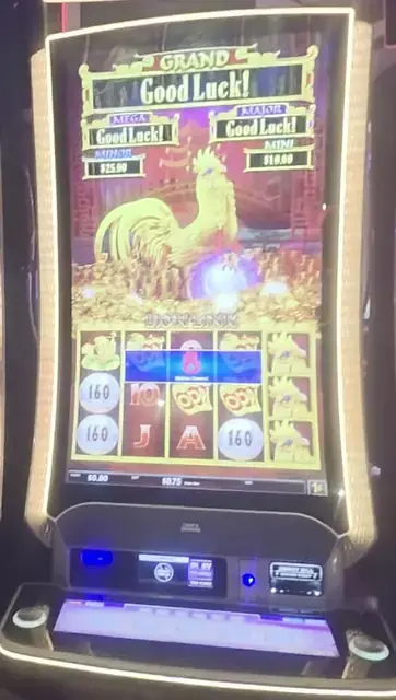 Lion Link cabinets in the Adventure of the Seas walkthrough.