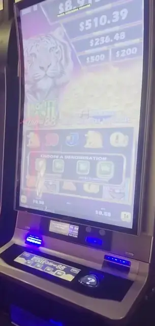 Mighty Cash: Ultra 88 cabinets in the Adventure of the Seas walkthrough.