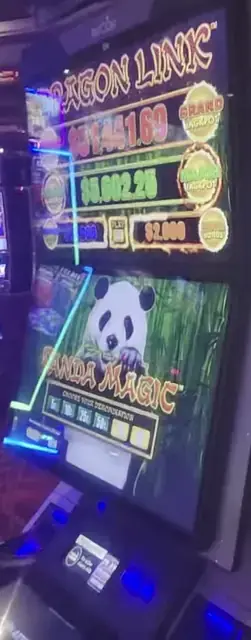 Dragon Link: Panda Magic cabinets in the Adventure of the Seas walkthrough.