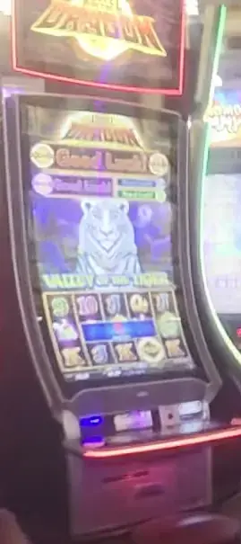 Jewel of the Dragon: Valley of the Tiger cabinets in the Adventure of the Seas walkthrough.