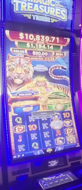 Magic Treasures: Tiger cabinets in the Adventure of the Seas walkthrough.