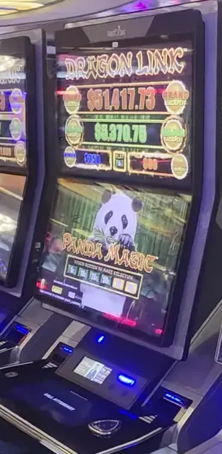 Dragon Link Panda Magic cabinets in the Radiance of the Seas walkthrough.