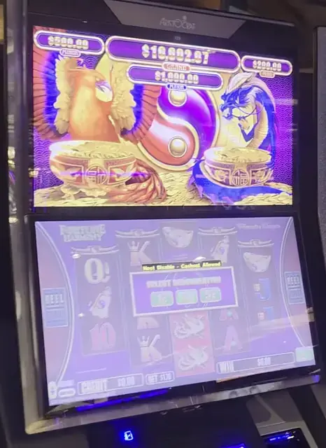 Fortune Harmony Phoenix & Dragon cabinets in the Radiance of the Seas walkthrough.