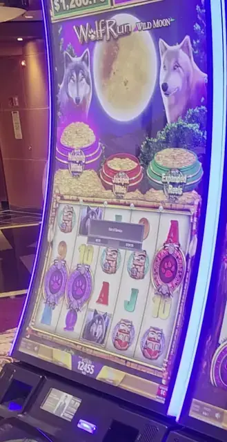 Wolf Run Wild Moon cabinets in the Radiance of the Seas walkthrough.