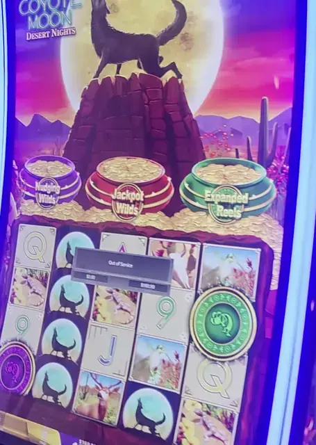 Coyote Moon Desert Nights cabinets in the Radiance of the Seas walkthrough.