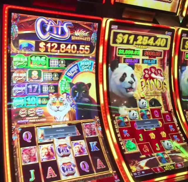 Cats: Wild Serengeti, 888 Panda cabinets in the Enchantment of the Seas walkthrough.