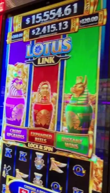 Lotus Link cabinets in the Navigator of the Seas walkthrough.