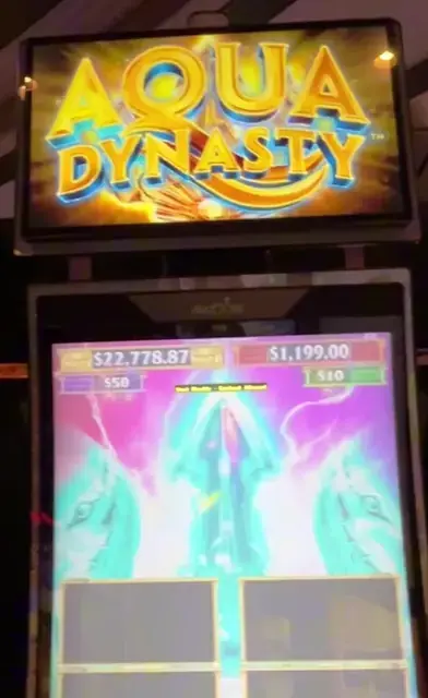 Aqua Dynasty cabinets in the Navigator of the Seas walkthrough.