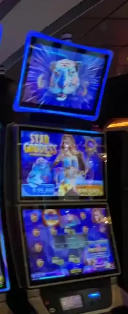 Star Goddess cabinets in the Navigator of the Seas walkthrough.