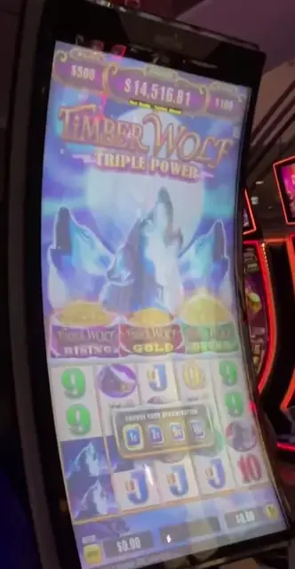 Timber Wolf Triple Power cabinets in the Navigator of the Seas walkthrough.