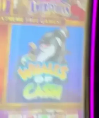 Whales of Cash cabinets in the Navigator of the Seas walkthrough.