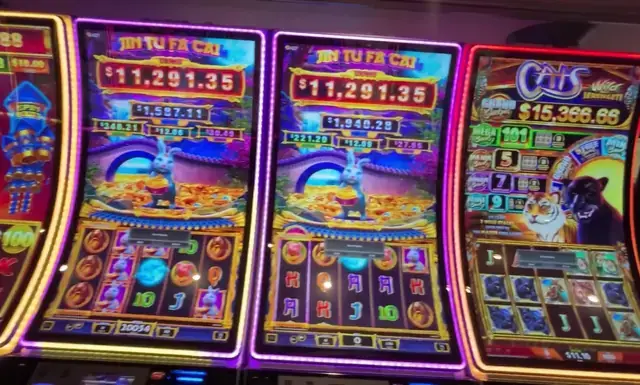 Jin Tu Fa Cai, Cats: Wild Serengeti cabinets in the Quantum of the Seas walkthrough.
