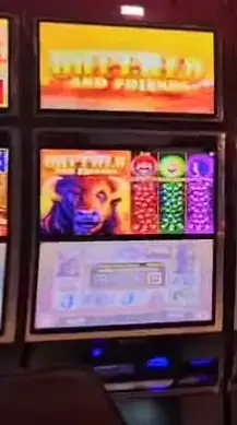 Buffalo Grand Fortune cabinets in the Allure of the Seas walkthrough.