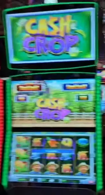 Lock It Link: Cash Crop cabinets in the Allure of the Seas walkthrough.
