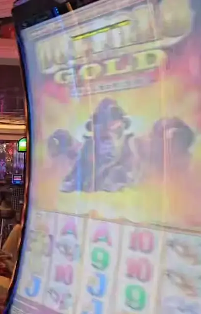 Buffalo Gold Collection cabinets in the Allure of the Seas walkthrough.
