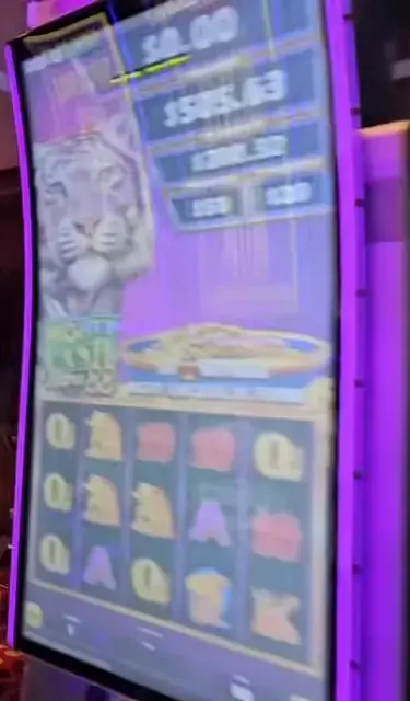 Mighty Cash Double Up cabinets in the Allure of the Seas walkthrough.