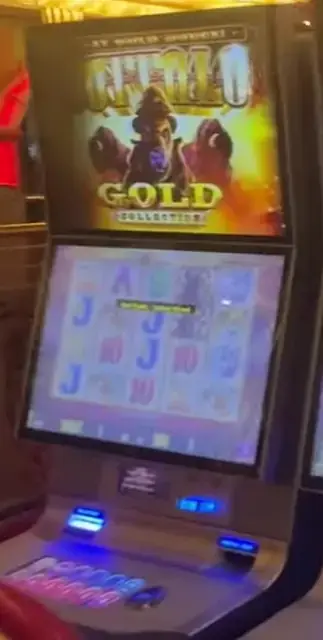 Buffalo Gold Collection cabinets in the Mariner of the Seas walkthrough.