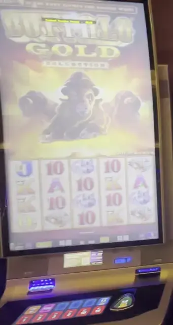 Buffalo Gold Collection cabinets in the Anthem of the Seas walkthrough.