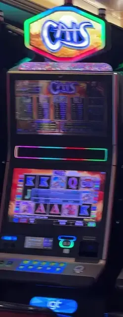 Cats cabinets in the Anthem of the Seas walkthrough.