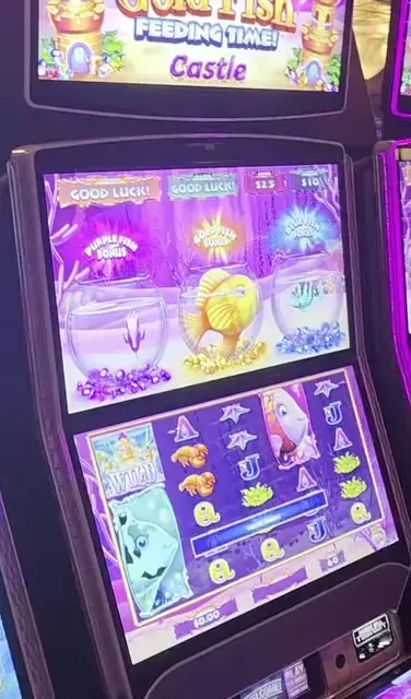 Gold Fish Feeding Time! Castle cabinets in the Freedom of the Seas walkthrough.