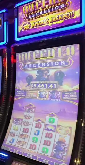 Buffalo Ascension cabinets in the Radiance of the Seas walkthrough.