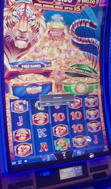 Magic Treasures: Tiger cabinets in the Allure of the Seas walkthrough.