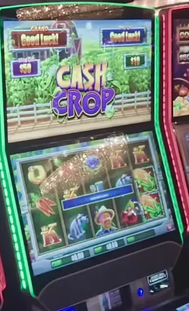 Cash Crop cabinets in the Allure of the Seas walkthrough.
