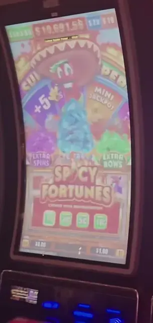 Spicy Fortunes cabinets in the Allure of the Seas walkthrough.