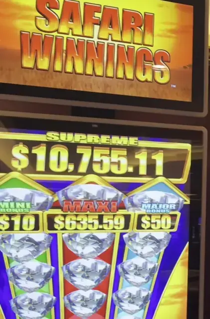 Safari Winnings cabinets in the Odyssey of the Seas walkthrough.