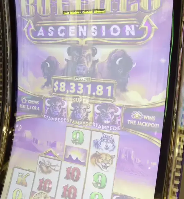 Buffalo Ascension cabinets in the Odyssey of the Seas walkthrough.