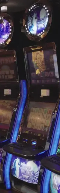 Timber Wolf cabinets in the Serenade of the Seas walkthrough.