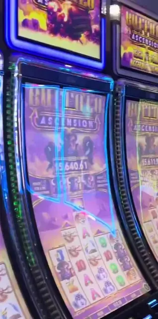 Buffalo Ascension cabinets in the Navigator of the Seas walkthrough.