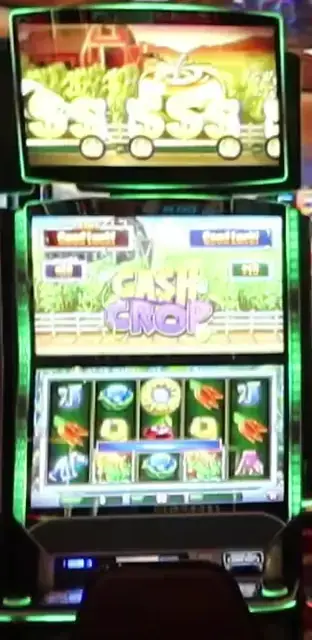 Lock It Link: Cash Crop cabinets in the Allure of the Seas walkthrough.