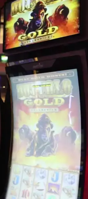 Buffalo Gold Collection cabinets in the Allure of the Seas walkthrough.