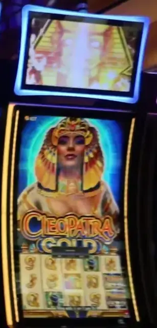 Cleopatra Gold cabinets in the Allure of the Seas walkthrough.
