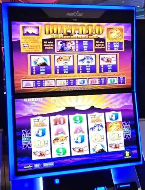 Buffalo cabinets in the Liberty of the Seas walkthrough.
